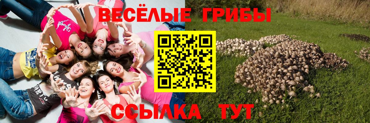 Псилоцибиновые грибы мухоморы  Вход с VPN  Заводоуковск  Галлюциногенные грибы мухоморы 